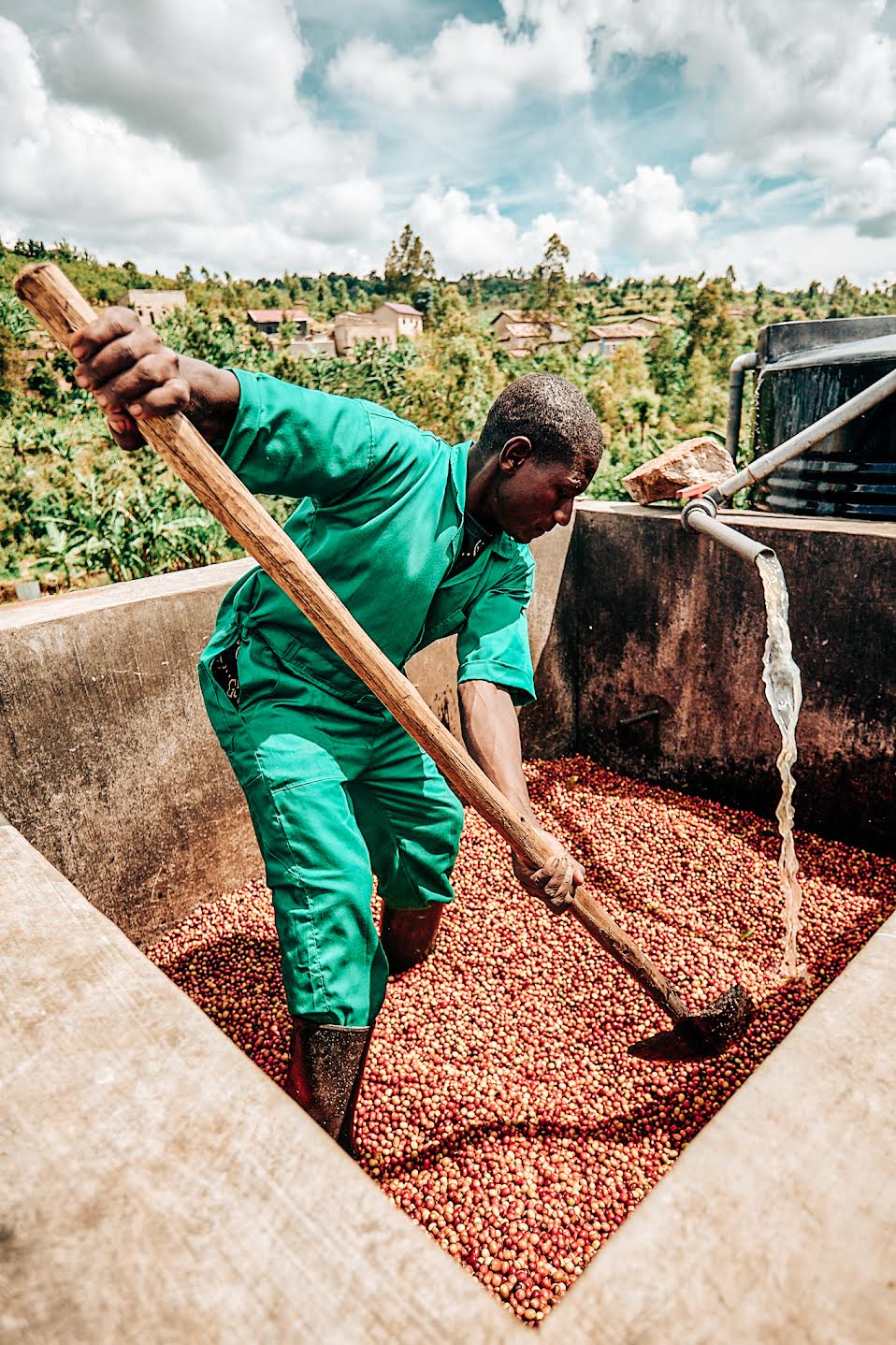 Ruanda Amber Grove – Red Bourbon Washed | Vorbestellung November