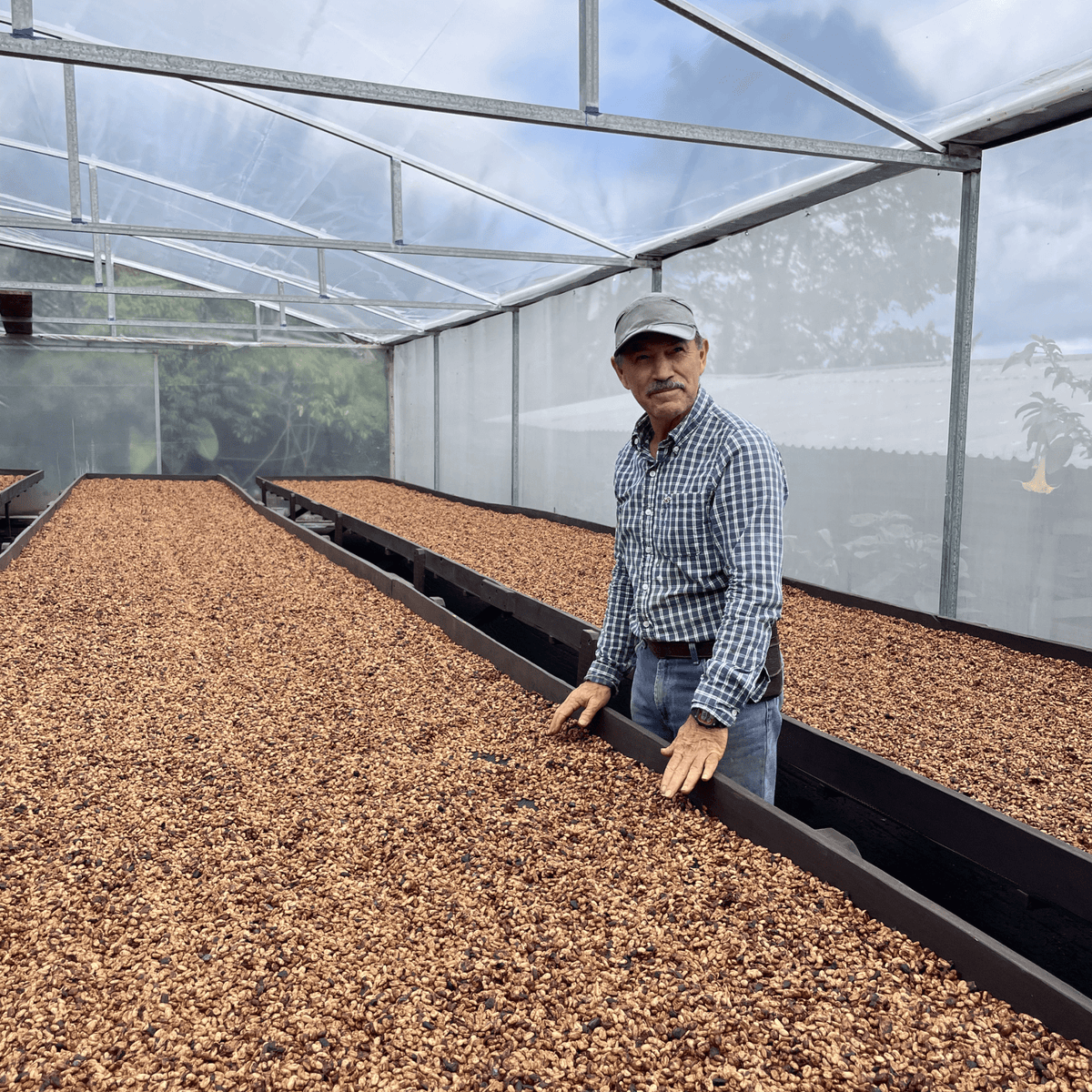 Costa Rica Nectar Bloom – Honey