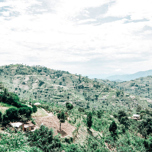 Uganda African Moon – Natural