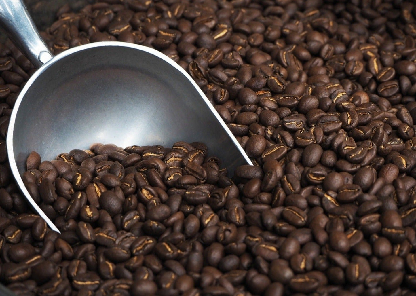 Orangutan Coffee