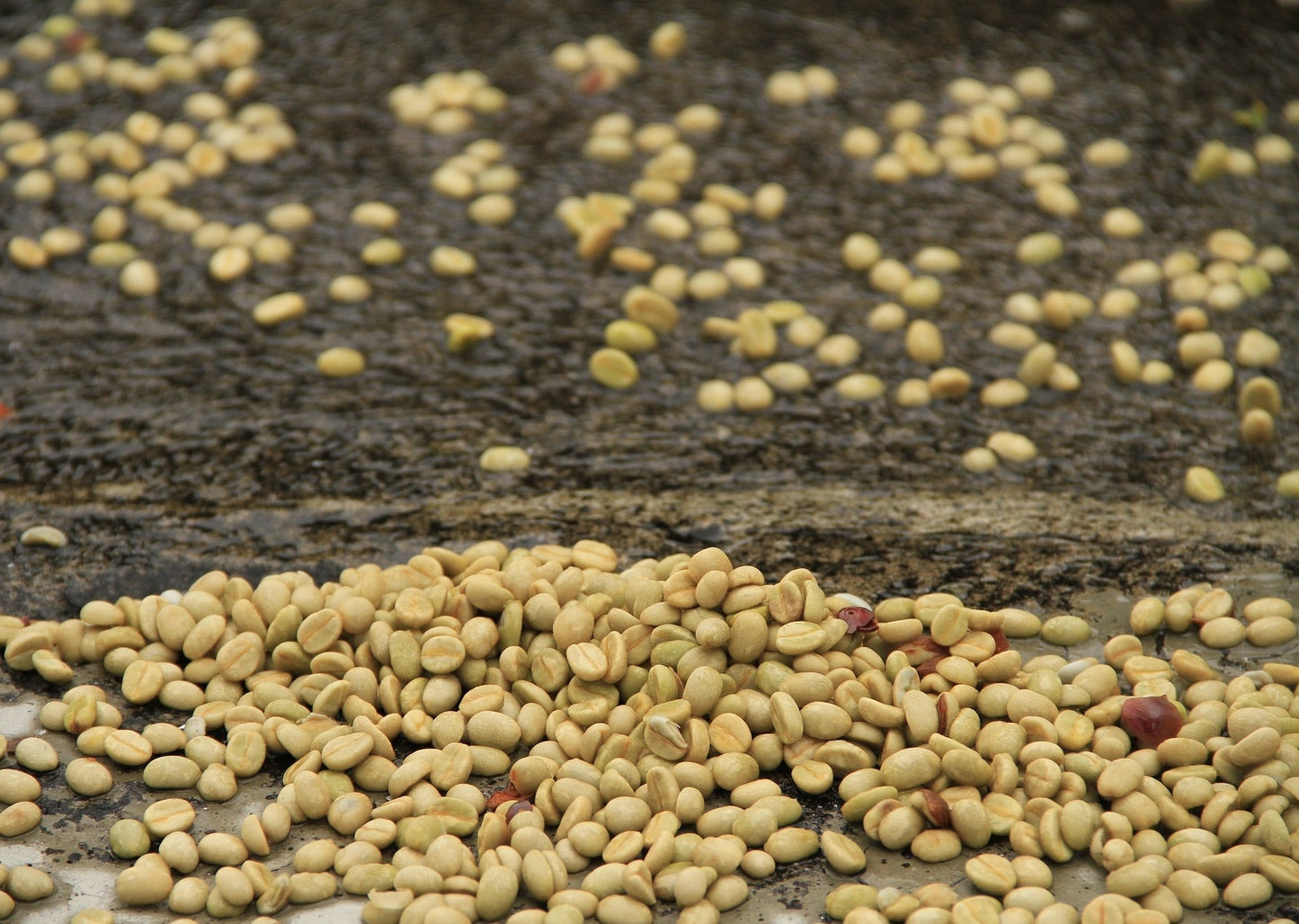 Peru – Entkoffeiniert mit Superkritischem CO₂