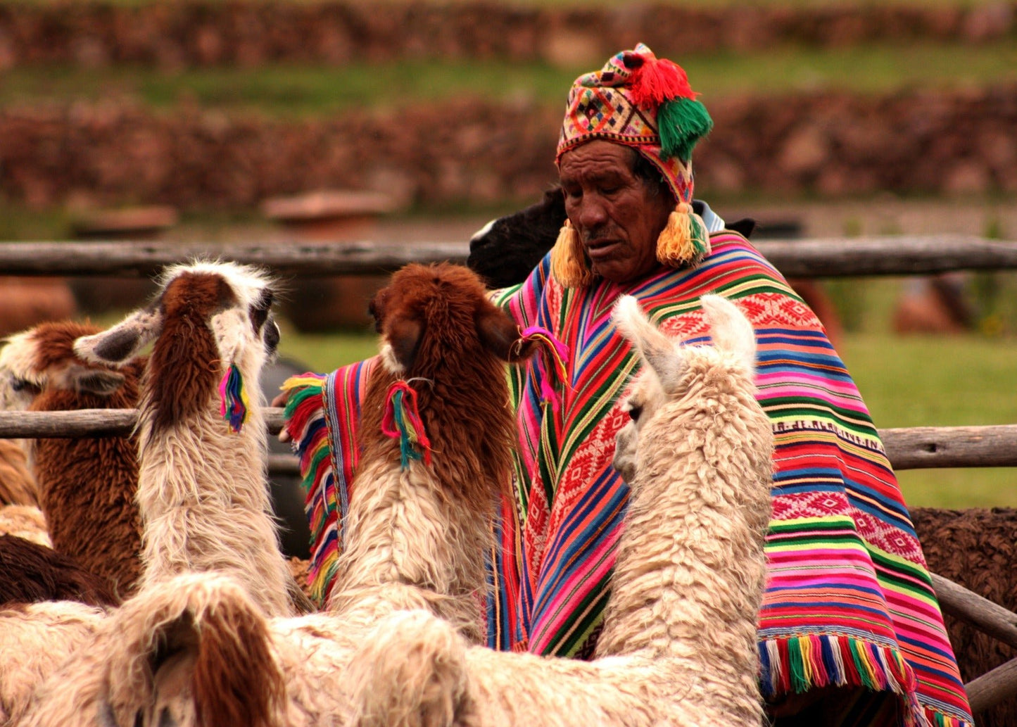 Peru SHG
