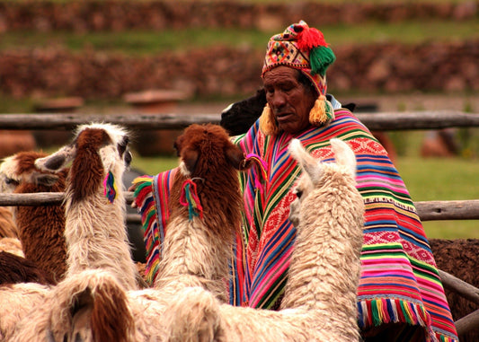 Peru SHG