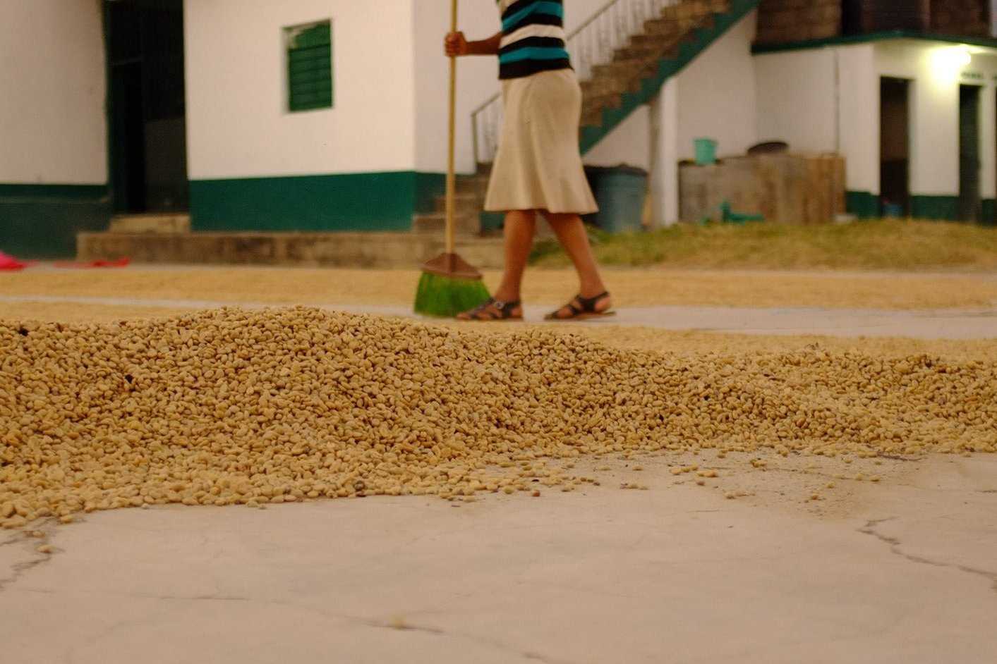 Peru SHG