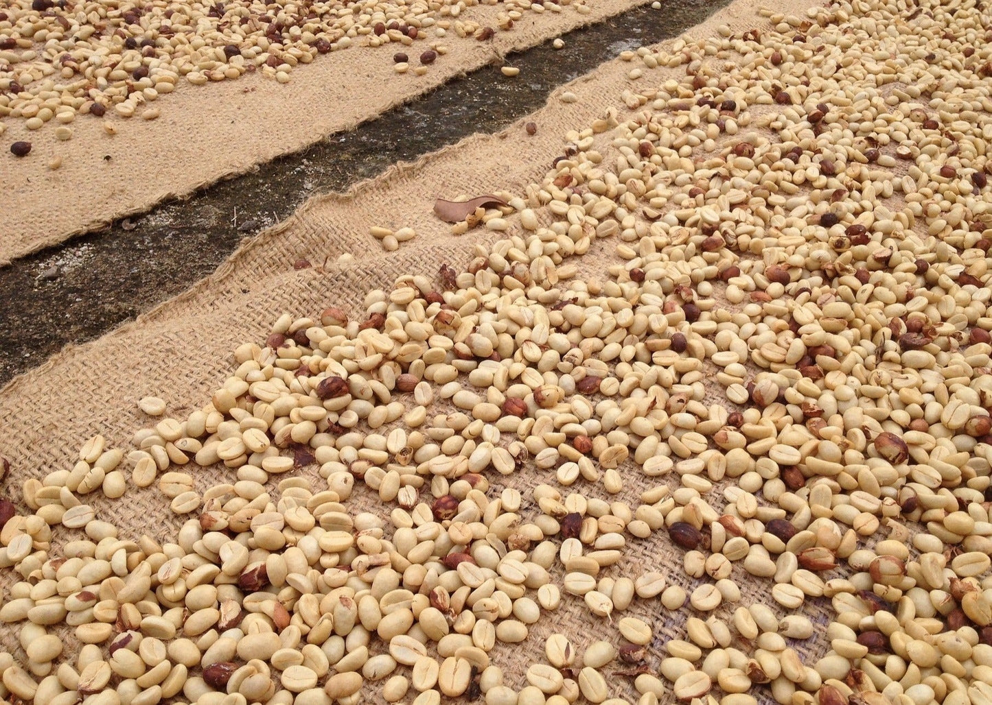 Guatemala