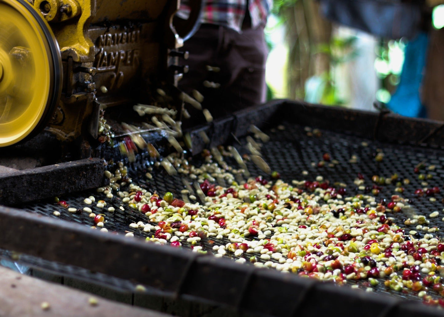 Peru SHG