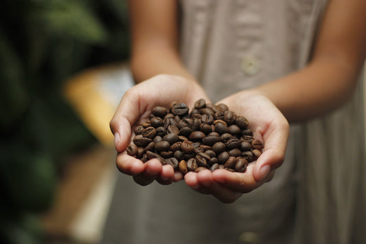 Cómo Identificar un Buen Café de Especialidad