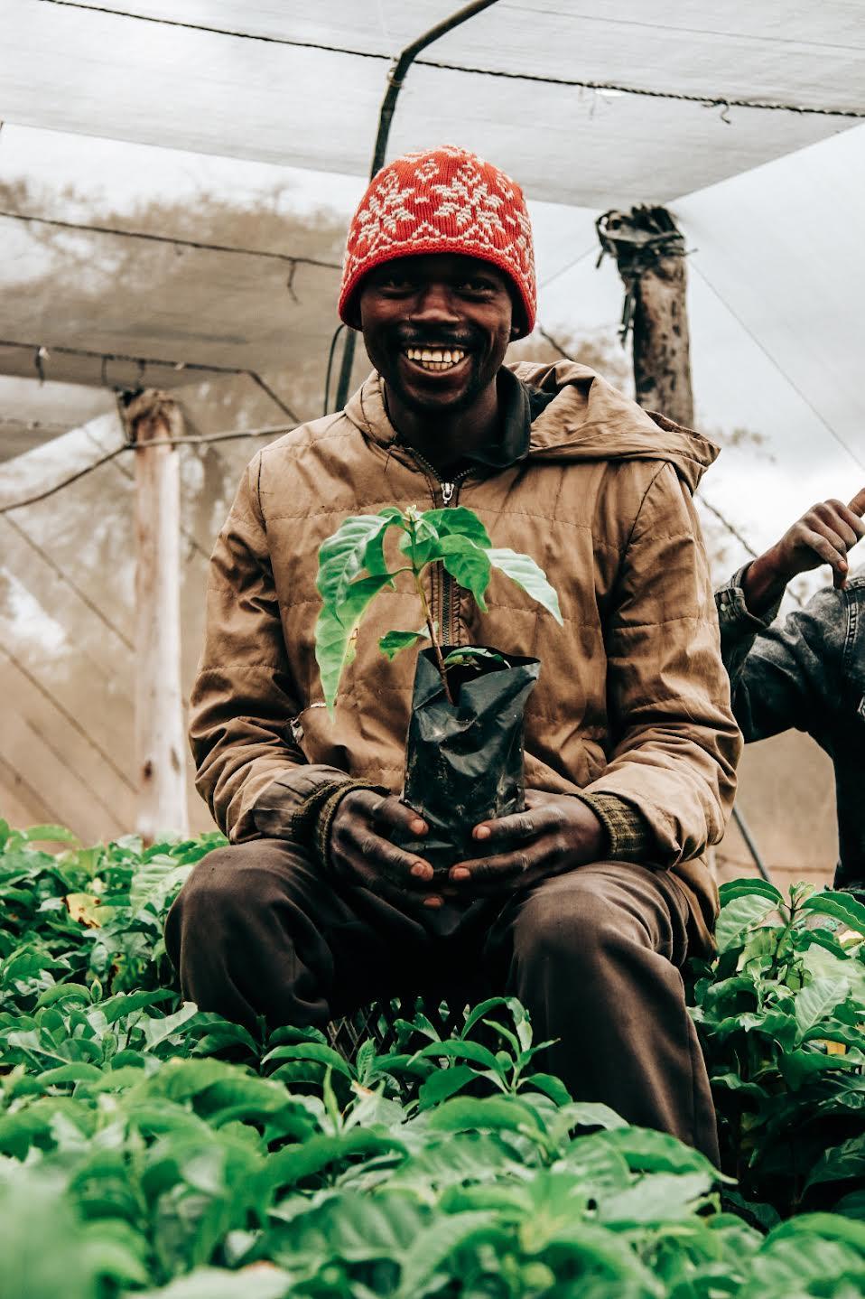 Zambia Marsellesa – Natural