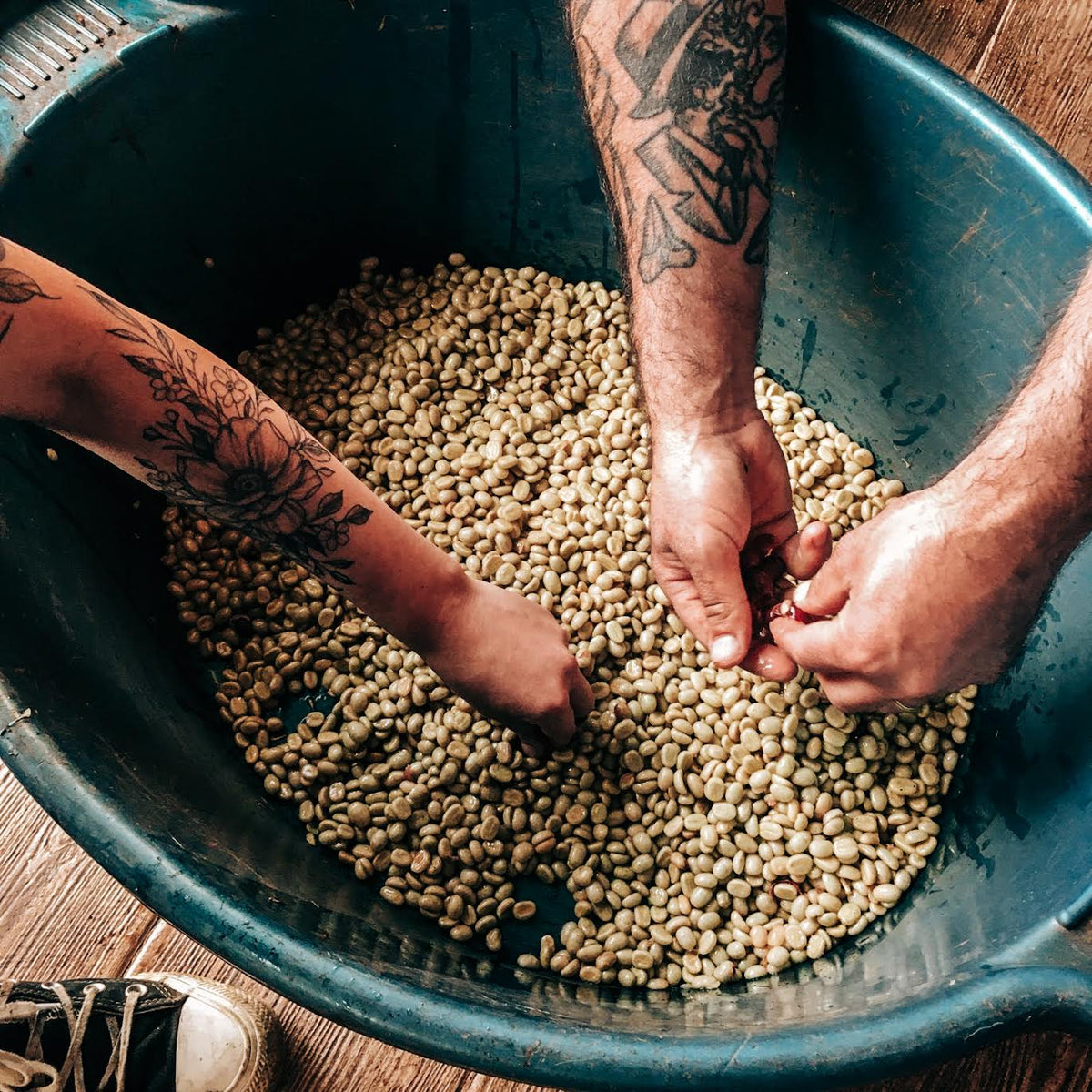 Ecuador Loja & Pichincha – Washed & Honey Blend