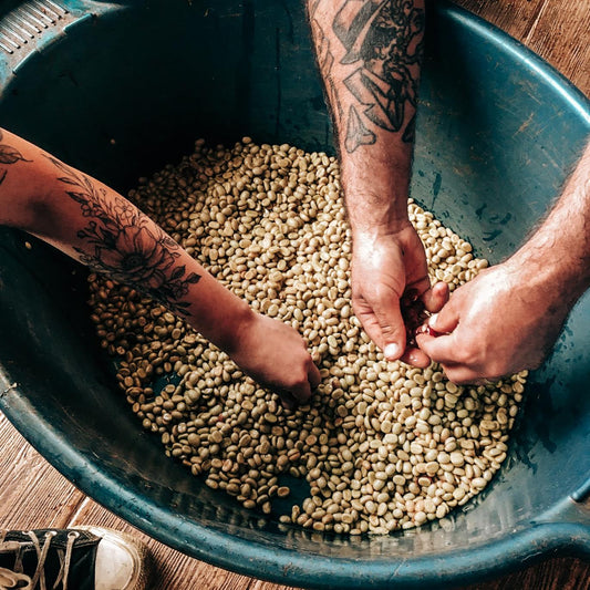 Ecuador Loja & Pichincha – Washed & Honey Blend