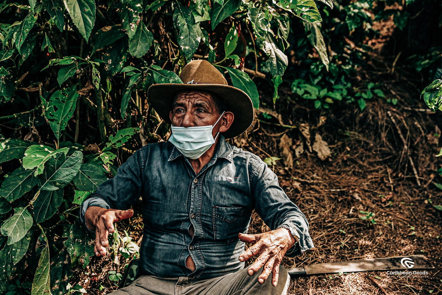 Guatemala Hunbatz – Washed