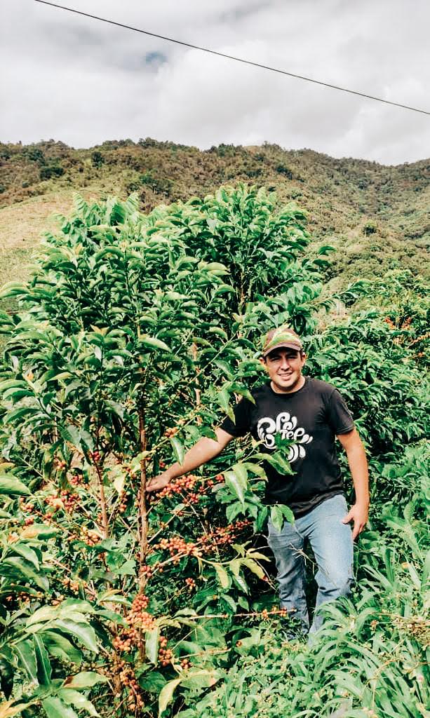 Kolumbien Las Flores Pink Bourbon – Entkoffeiniert