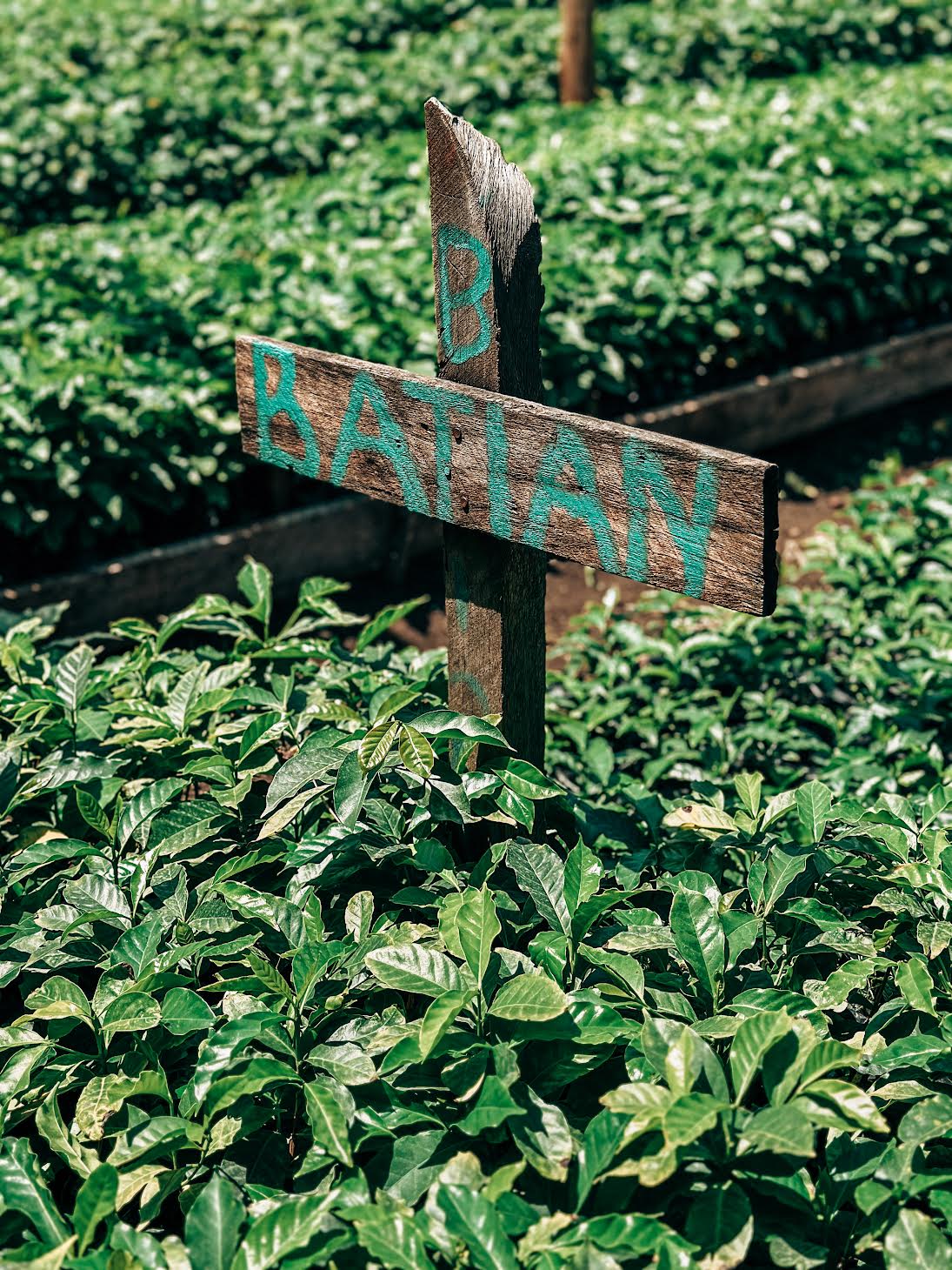 Kenia Priory Farm C