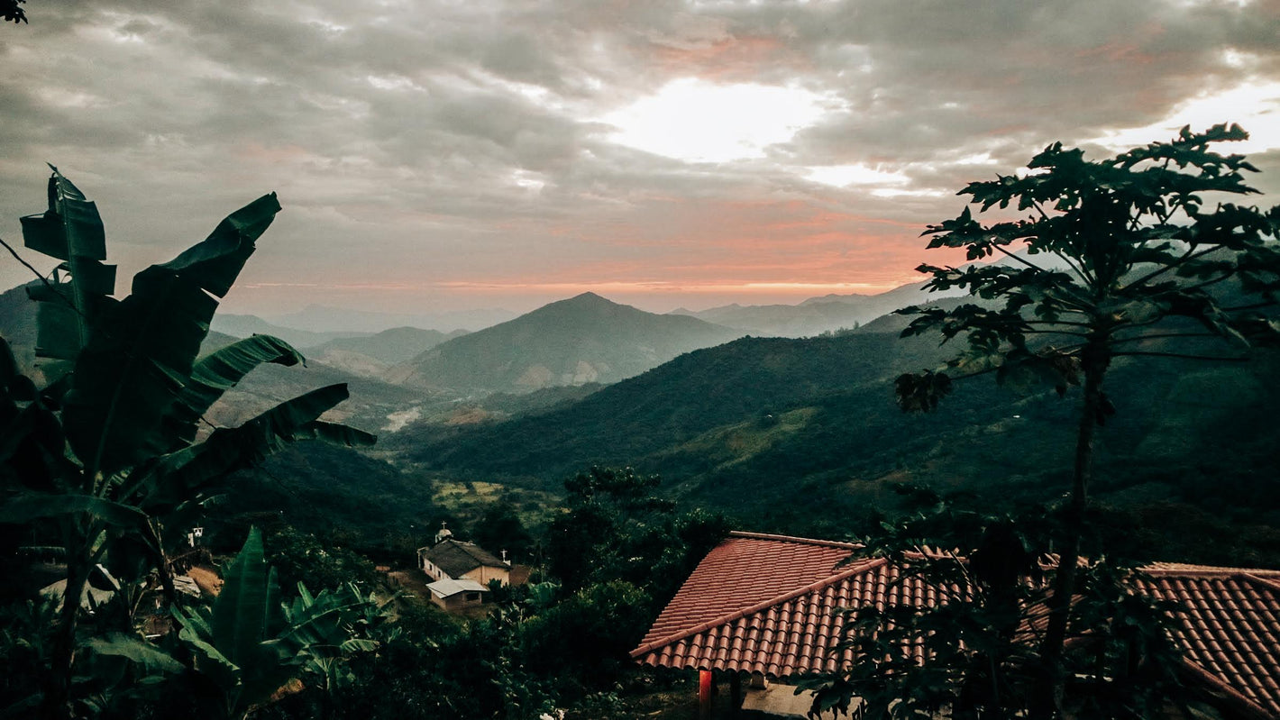 Ecuador Loja & Pichincha – Washed & Honey Blend