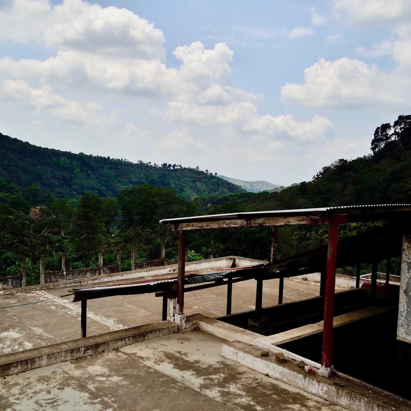 Guatemala La Esmeralda Geisha – Washed