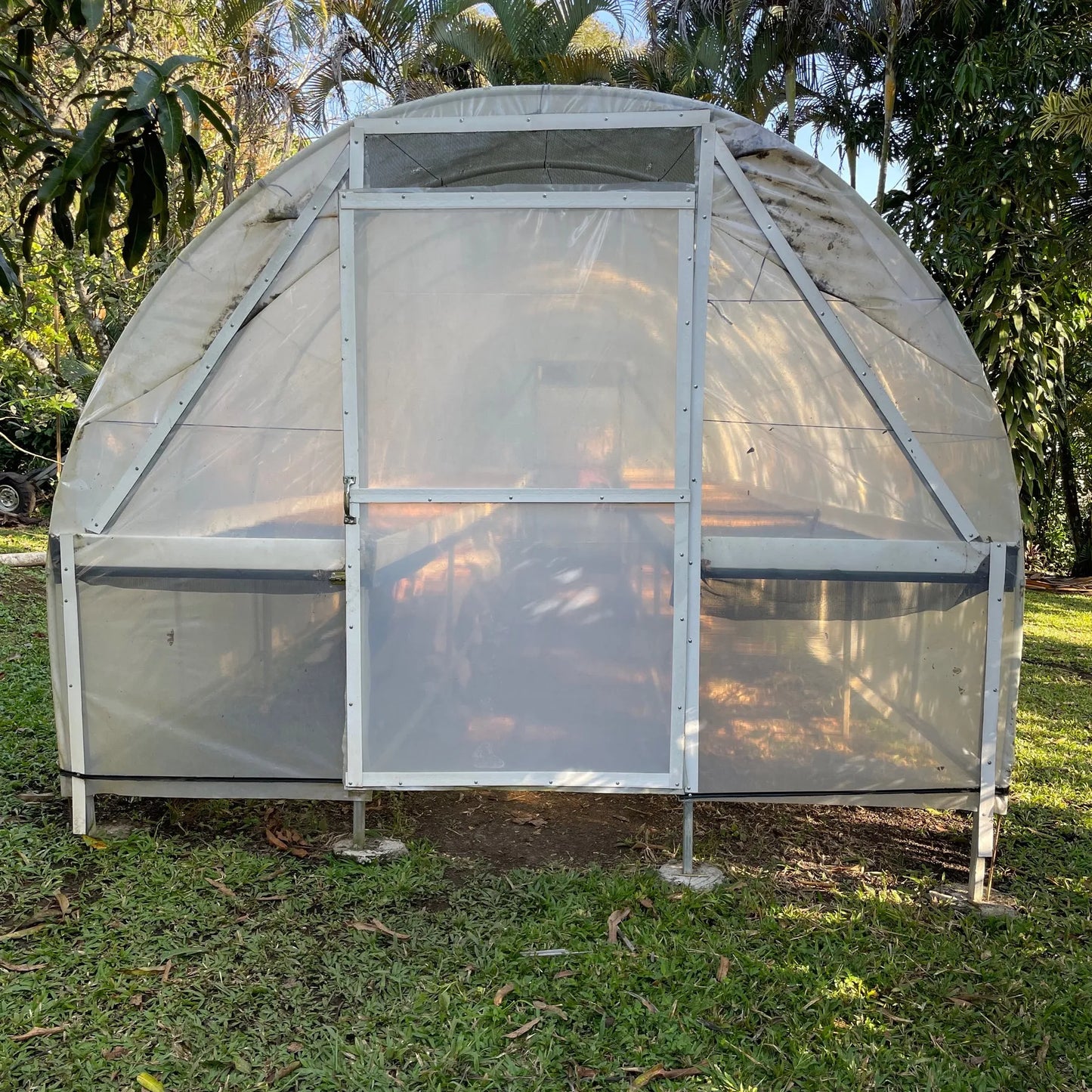 Honduras Catuai