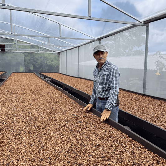 Costa Rica Nectar Bloom – Honey