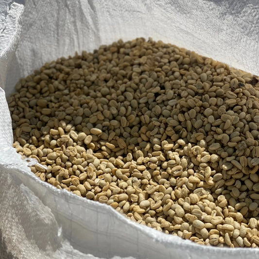 Guatemala La Pampa Bourbon – 72h Anaerobic Natural