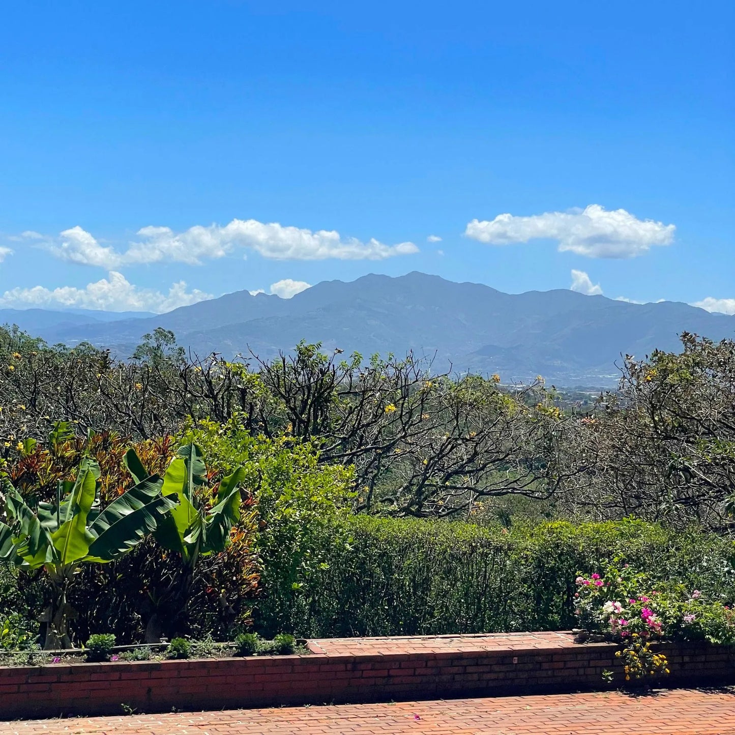 Costa Rica Hacienda Sonora Victoria 14 – Natural
