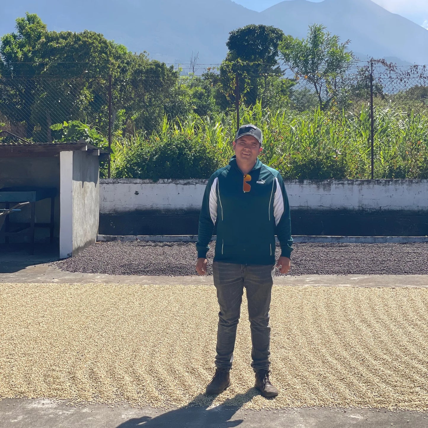 Guatemala La Pampa Bourbon – 72h Anaerobic Natural