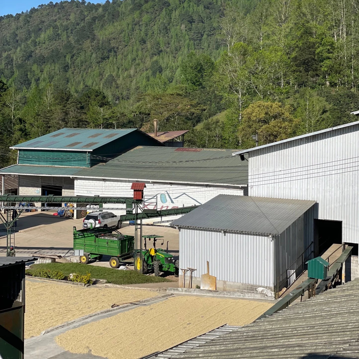 Honduras Catuai – Natural