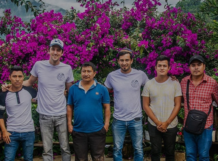 Mexiko Maragogype Nuevo Vergel – Natural