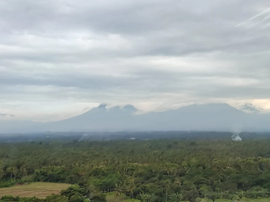 Indonesien Ijen Highlands – Anaerobic Natural