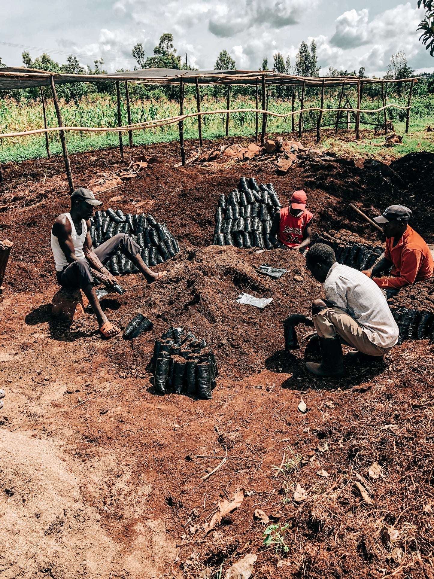 Kenia Kericho County AA – Descafeinado