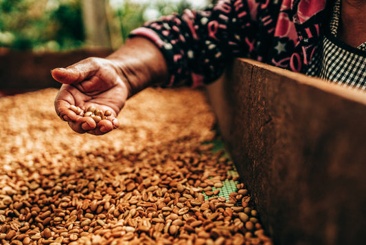 Mexiko Quetzal – Mountain Water Decaf