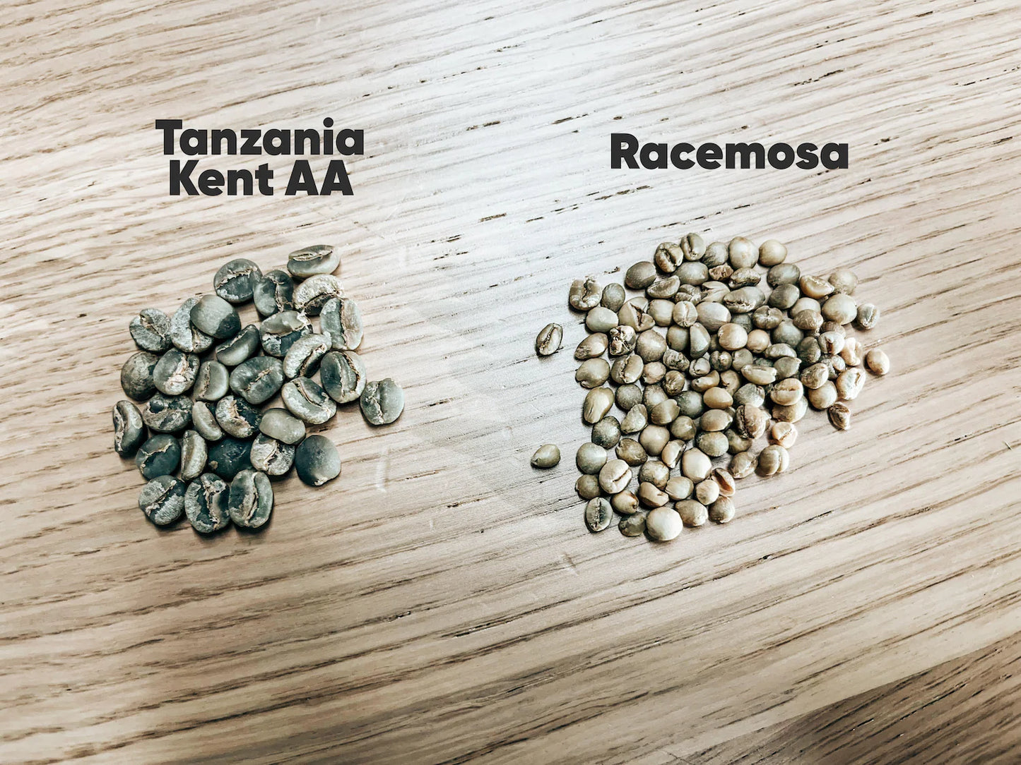 Südafrika Racemosa – Washed