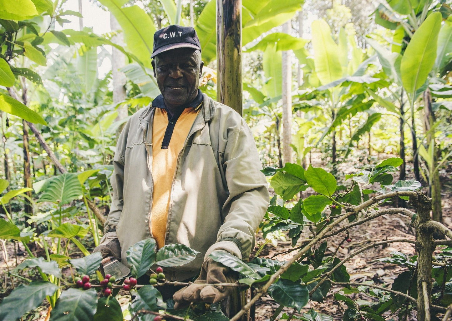 Tansania Bio Robusta