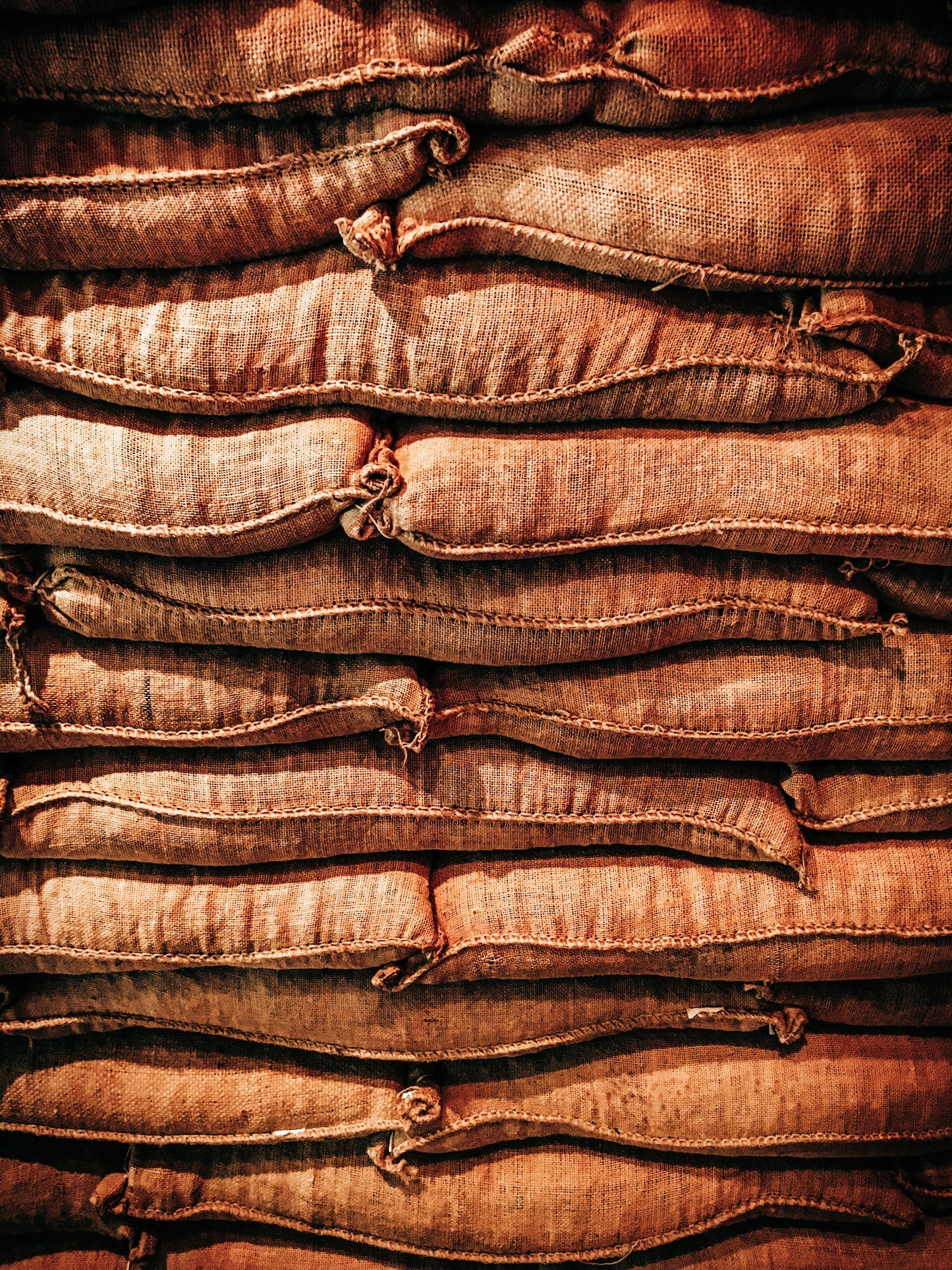 Vietnam Robusta – Wet Polished
