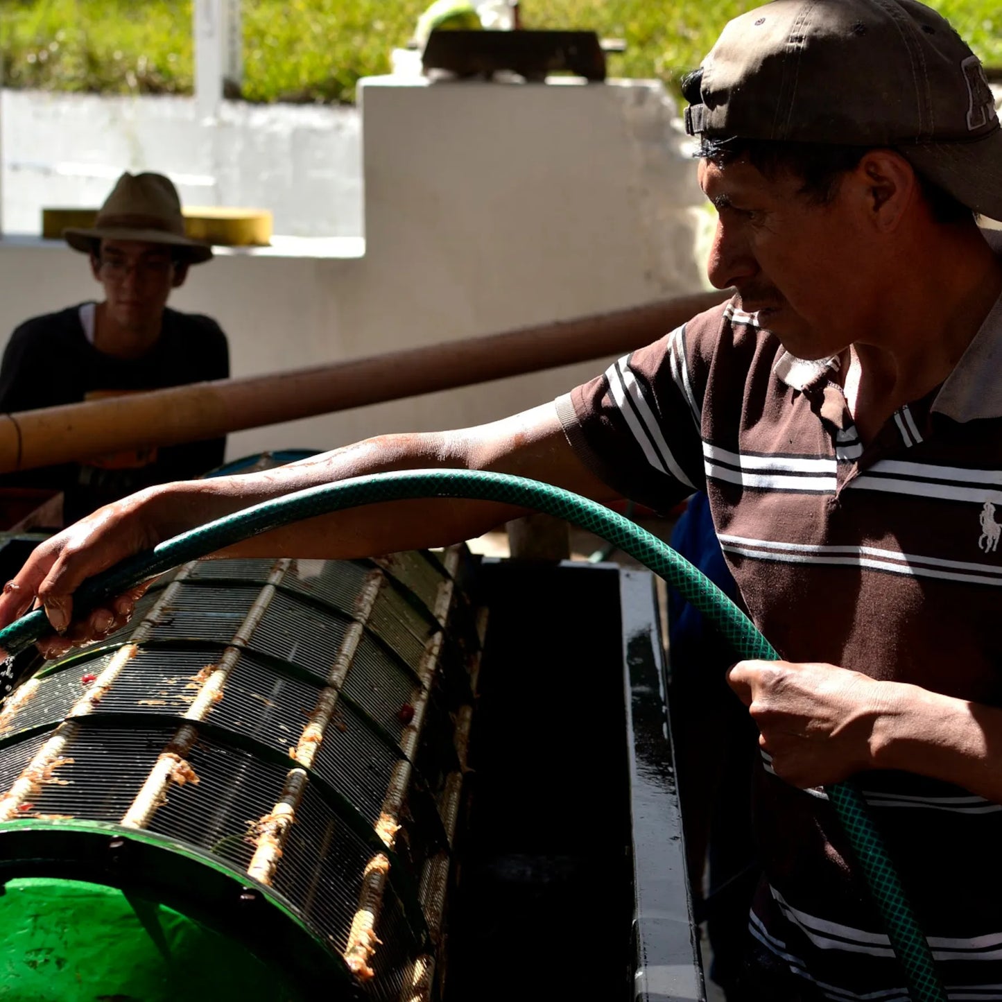 Guatemala La Soledad Java – Washed