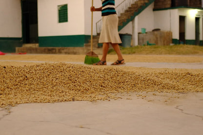 Perú SHG